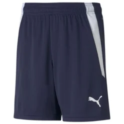 Puma TeamLIGA Shorts Jr