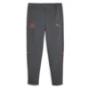 Puma Manchester City Sweatpants Casuals - Grey/Orange Kids
