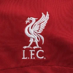 Nike Liverpool Home Shorts 2023/24 Kids 8 Nike Liverpool Home Shorts 2023/24 Kids -Track Fit Wear Sales 18592b6530a8
