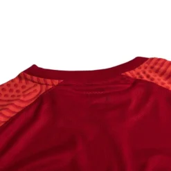 Nike Playershirt DF Strike II - University Red/Bright Crimson/White Kids -Track Fit Wear Sales 193a7f2c600d