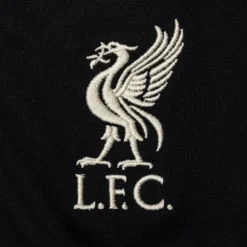 Nike Liverpool Away Shorts 2021/22 Kids -Track Fit Wear Sales 24a6cb667569