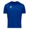 Adidas Training T-Shirt Condivo 20 - Blue/White