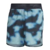 Adidas Running Shorts Run Icons - Multicolor/Legend Ink