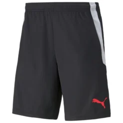 Puma TeamLIGA Training Shorts 2 (open Pockets)