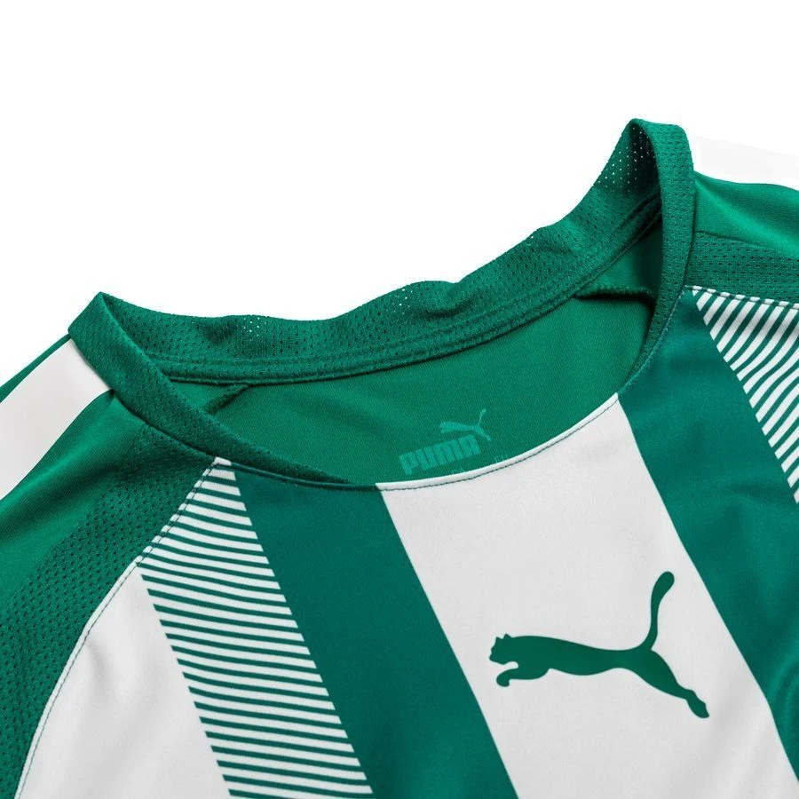 PUMA Playershirt TeamLIGA - Pepper Green/PUMA White 2 PUMA Playershirt TeamLIGA - Pepper Green/PUMA White - Image 2