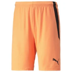 Puma TeamLIGA Shorts