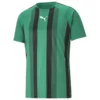 PUMA Playershirt TeamLIGA - Pepper Green/PUMA Black/PUMA White