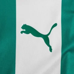 PUMA Playershirt TeamLIGA - Pepper Green/PUMA White 8 PUMA Playershirt TeamLIGA - Pepper Green/PUMA White -Track Fit Wear Sales 46160b139b0f