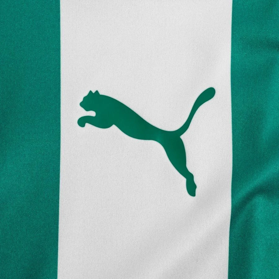 PUMA Playershirt TeamLIGA - Pepper Green/PUMA White 3 PUMA Playershirt TeamLIGA - Pepper Green/PUMA White - Image 3