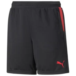 PUMA Training Shorts IndividualCUP - PUMA Black/Sunblaze Kids