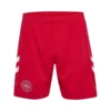 Hummel Denmark Away Shorts 2023/24 Kids