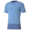 Puma TeamGOAL 23 Training Jersey