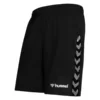Hummel Shorts Authentic Training - Black