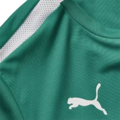 PUMA Playershirt TeamLIGA - Pepper Green/PUMA White Kids -Track Fit Wear Sales af6028bb9ada