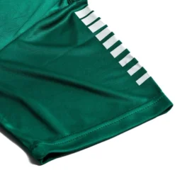 Select Playershirt Pisa - Green/White -Track Fit Wear Sales b13747552985