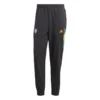 ADIDAS Bayern München Training Trousers Icon Woven - Black/Green/Yellow