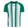 PUMA Playershirt TeamLIGA - Pepper Green/PUMA White