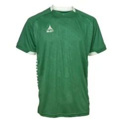 Select Playershirt Spain - Green/White