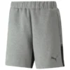 PUMA Shorts TeamCUP Casuals - Medium Grey Heather