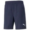 PUMA Shorts TeamFINAL - Peacoat